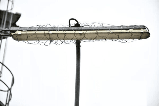Safety Nets for Lights, camera and speakers