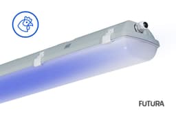 CONCEPT BLUE