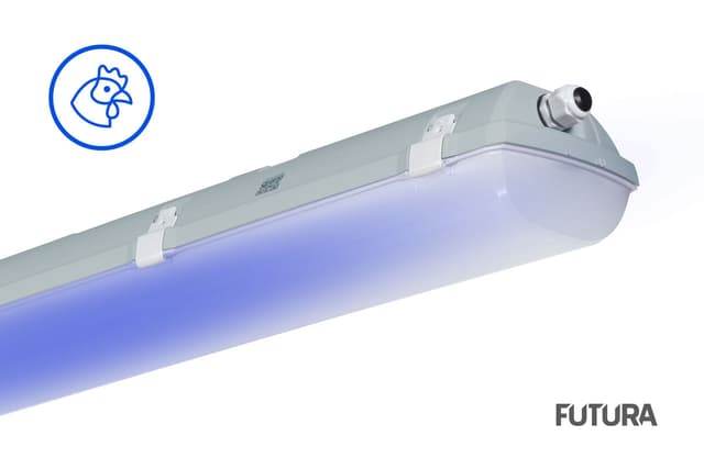 CONCEPT BLUE